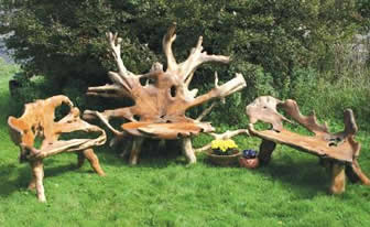 root bench